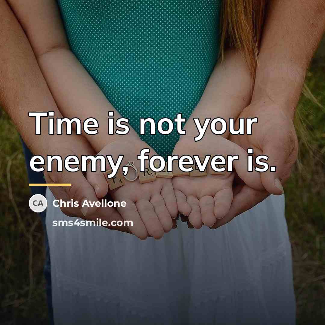 “Time is not your enemy, forever is.…” quote by Chris Avellone