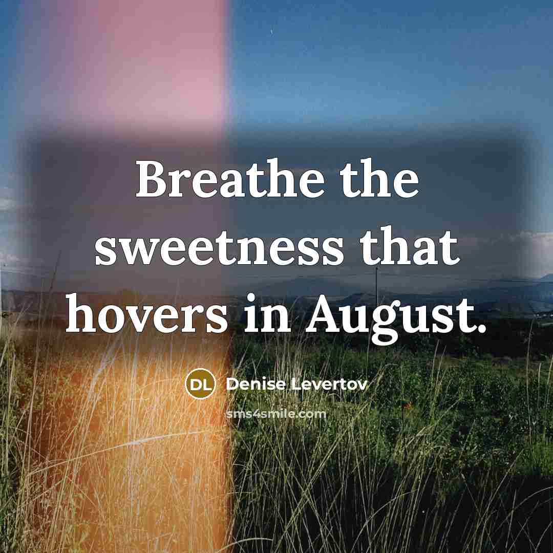 “Breathe the sweetness that hovers in August.…” quote by Denise Levertov