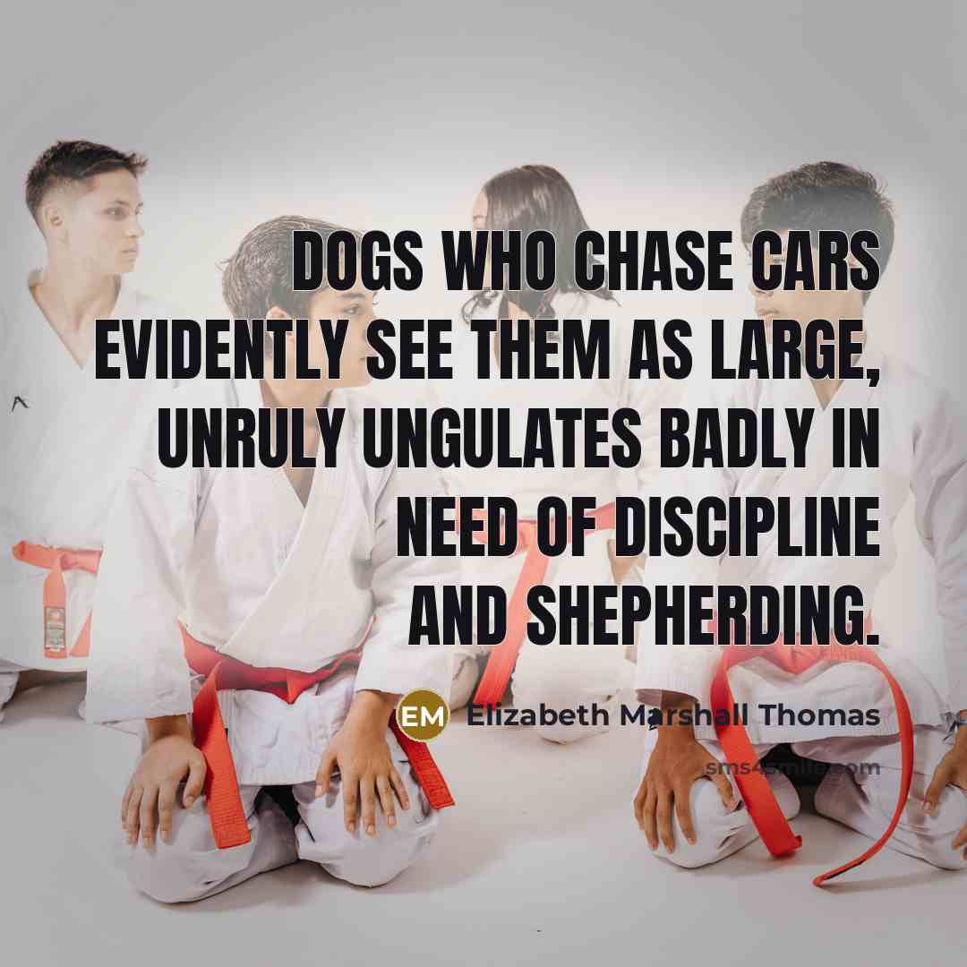 “Dogs who chase cars evidently see them as large, unruly…” quote by Elizabeth Marshall Thomas