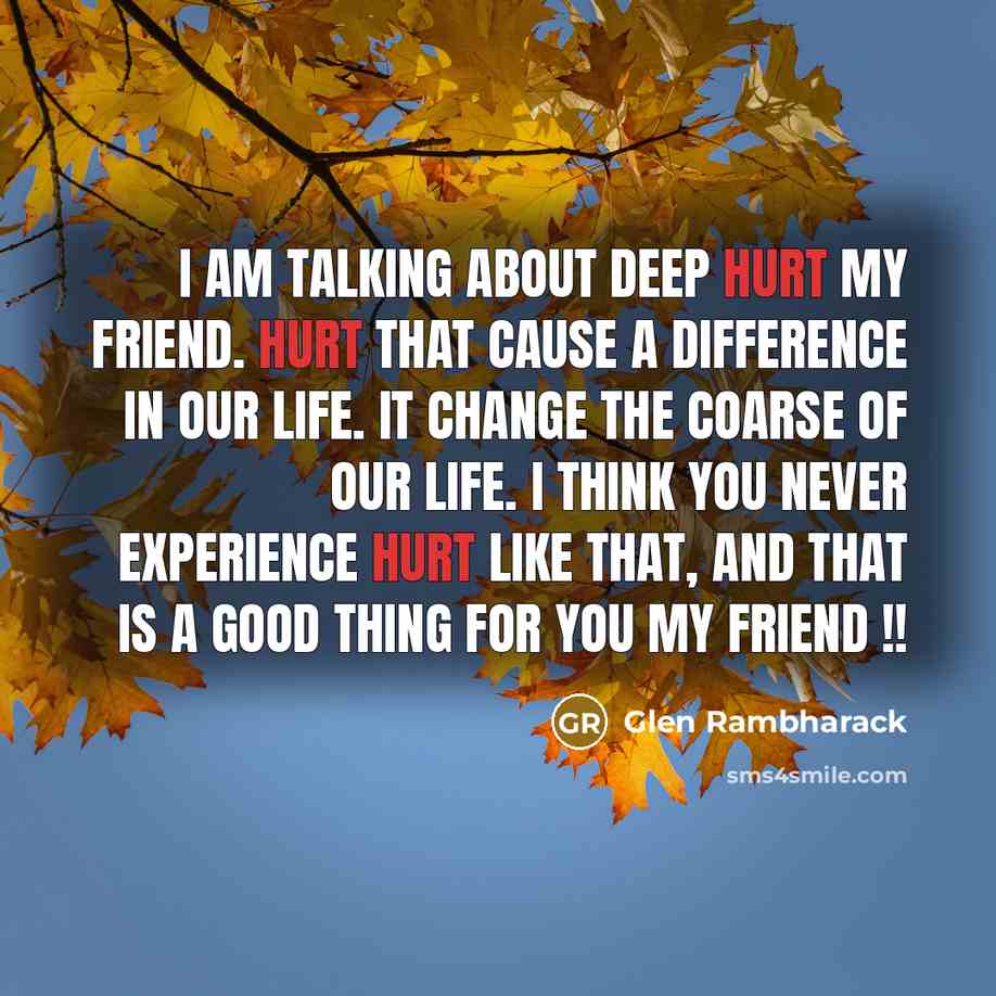 “I am talking about deep hurt my Friend. Hurt that…” quote by Glen Rambharack
