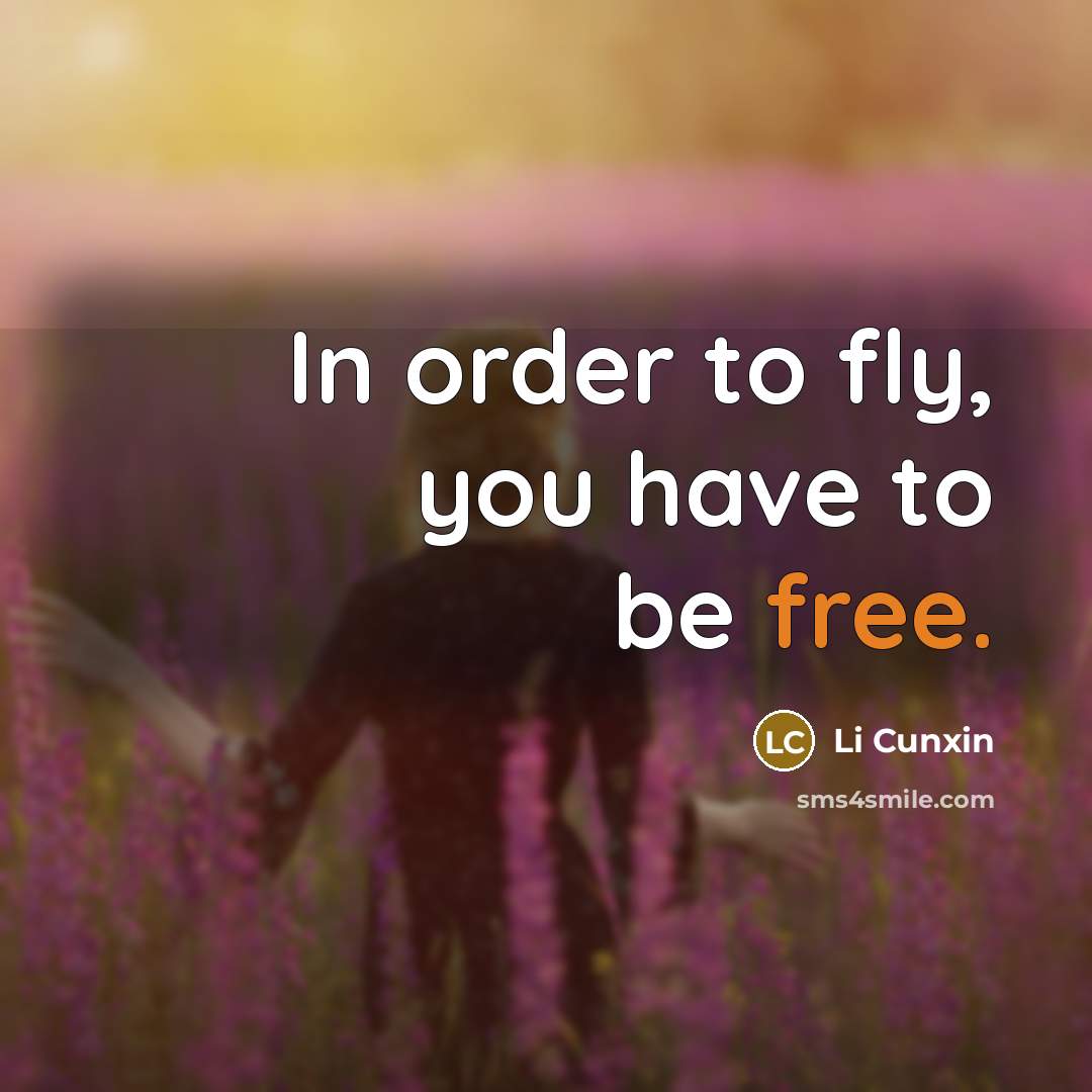 “In order to fly, you have to be free.” quote by Li Cunxin