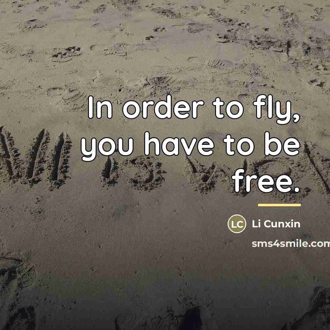 “In order to fly, you have to be free.…” quote by Li Cunxin