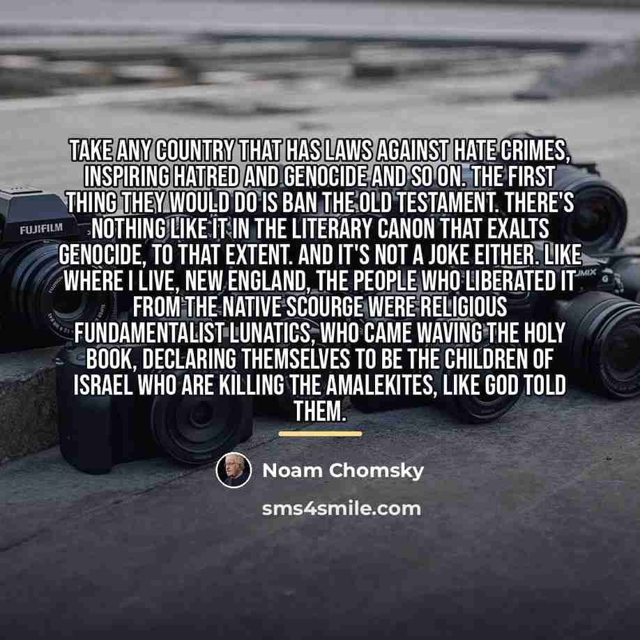 “Take any country that has laws against hate crimes, inspiring…” quote by Noam Chomsky