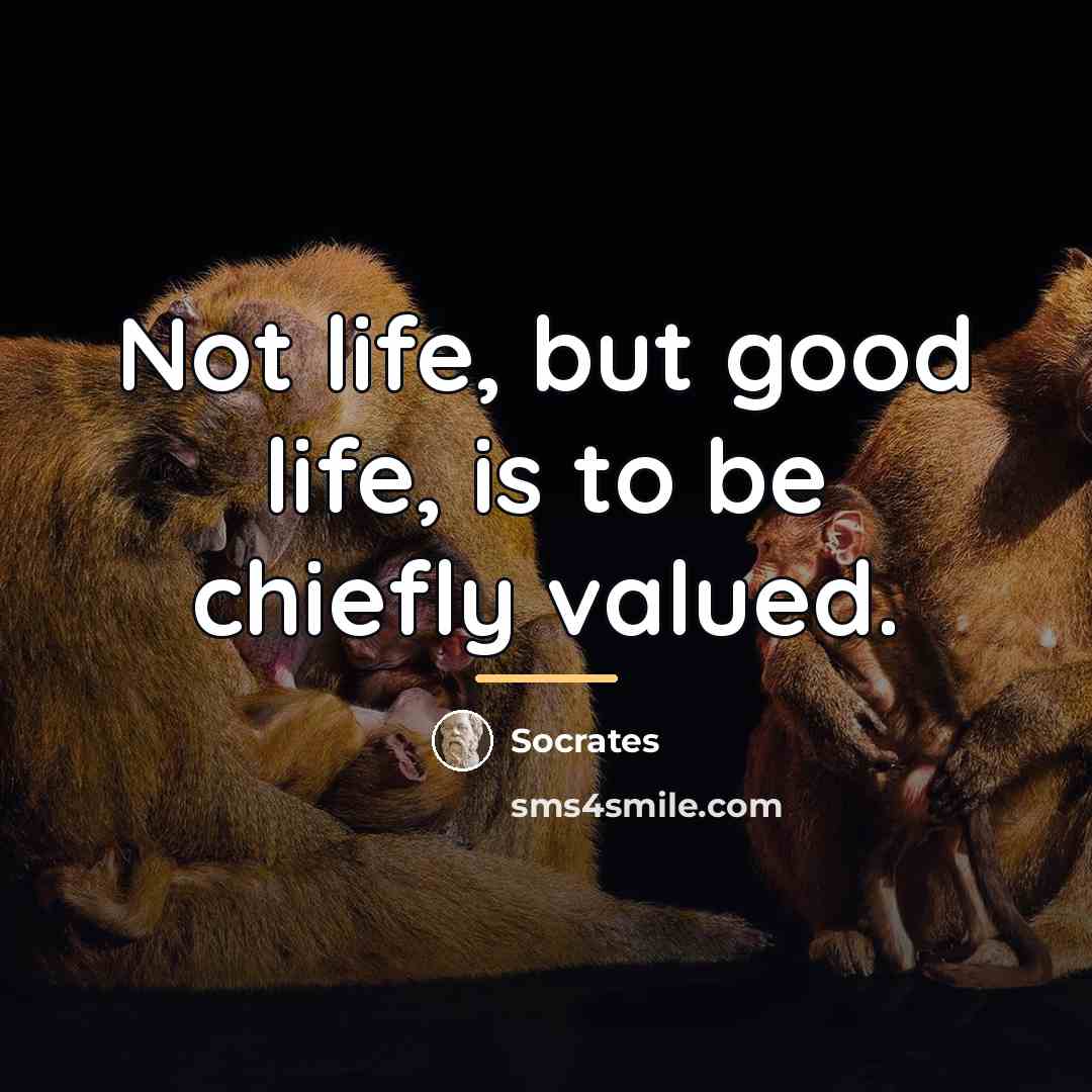 “Not life, but good life, is to be chiefly valued.…” quote by Socrates