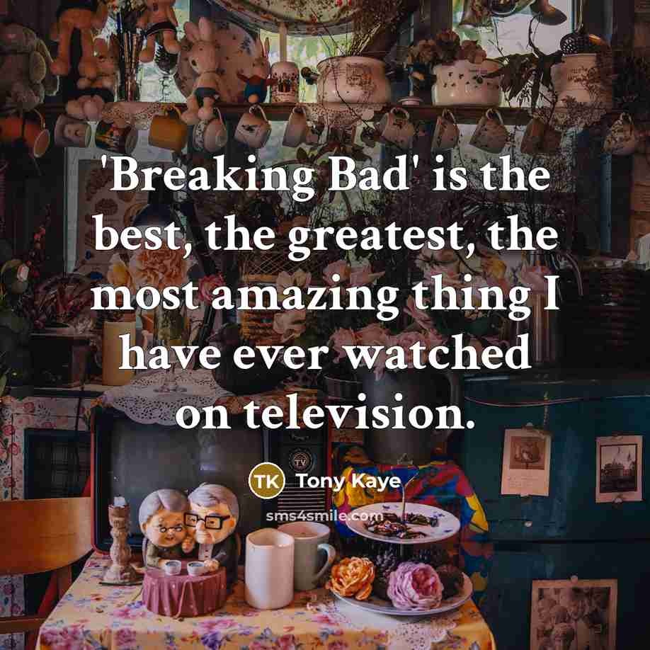 “'Breaking Bad' is the best, the greatest, the most amazing…” quote by Tony Kaye