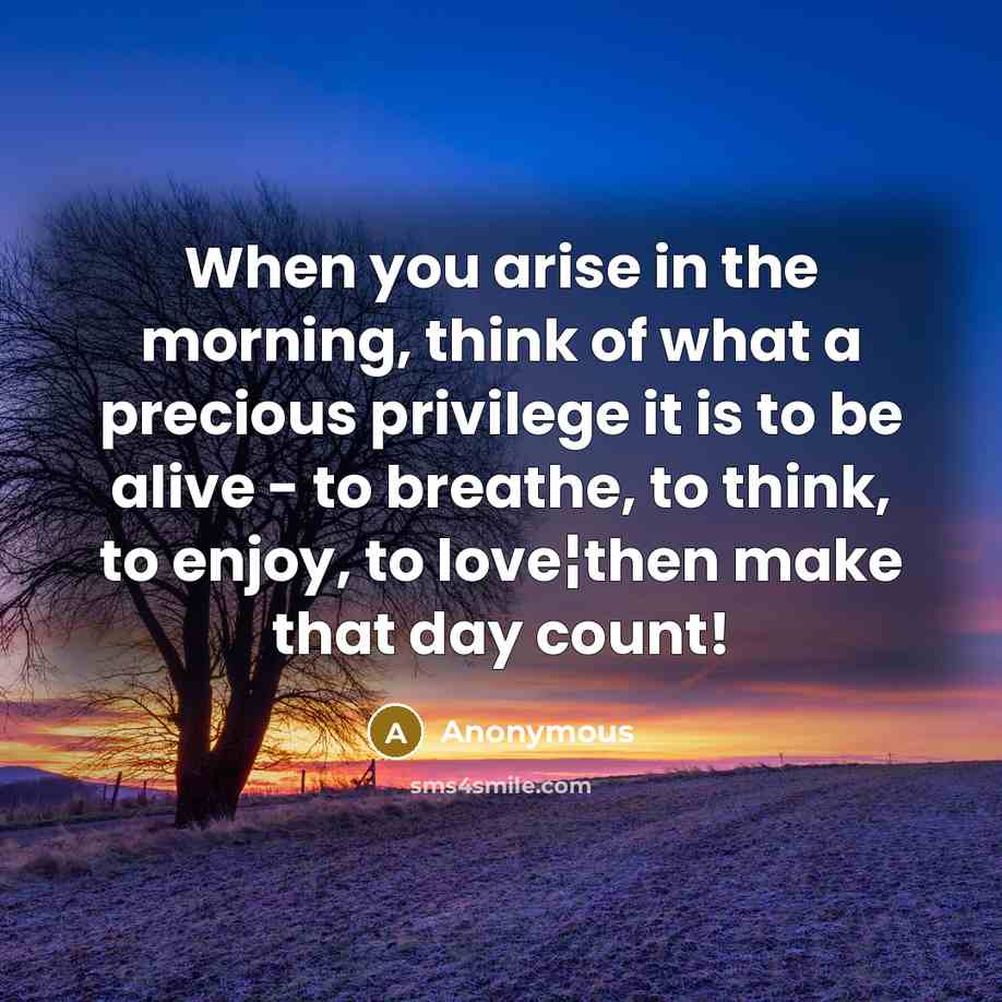 “When you arise in the morning, think of what a…” quote by Anonymous