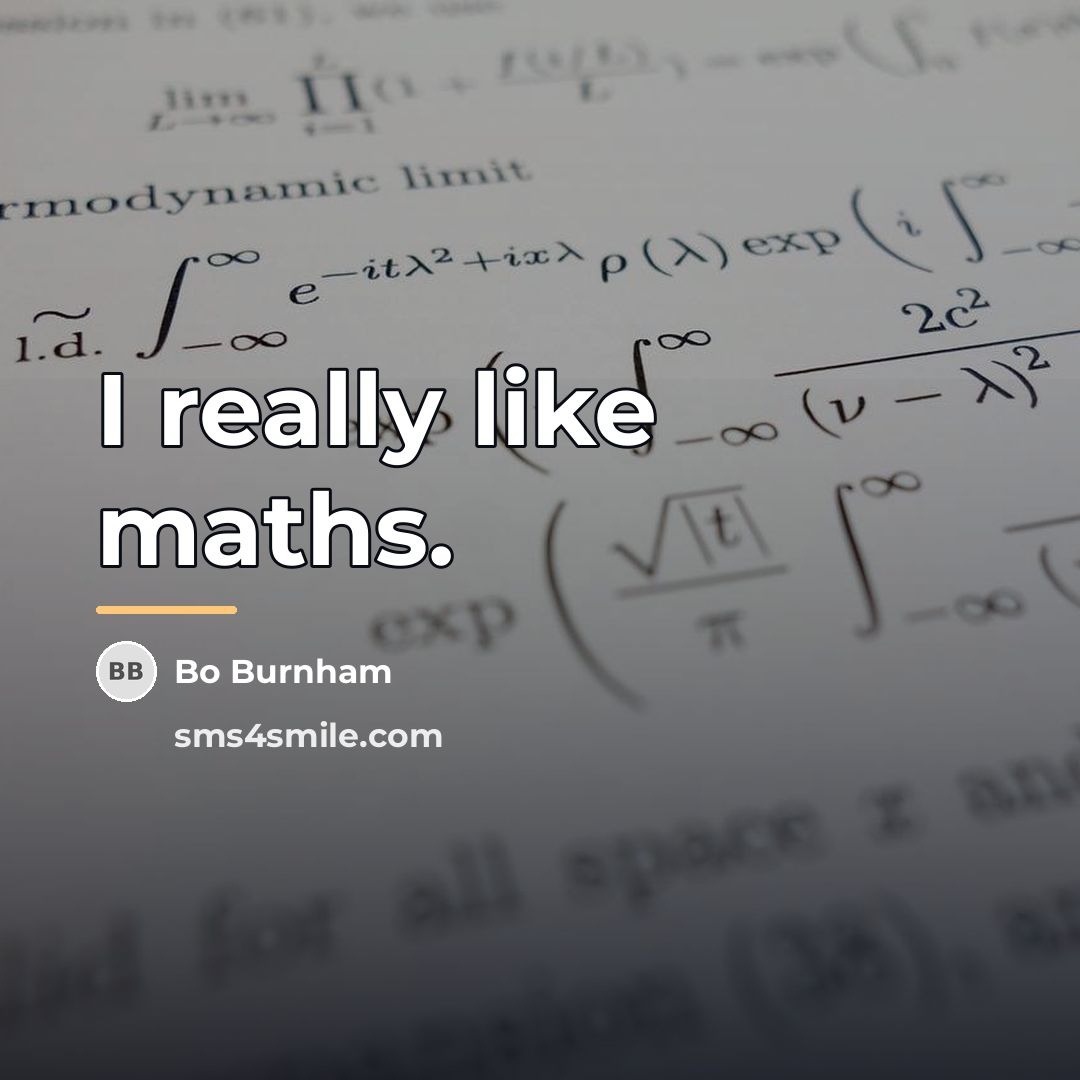 “I really like maths.…” quote by Bo Burnham