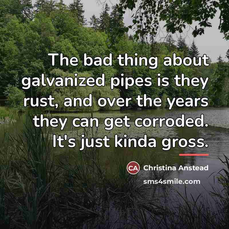 “The bad thing about galvanized pipes is they rust, and…” quote by Christina Anstead