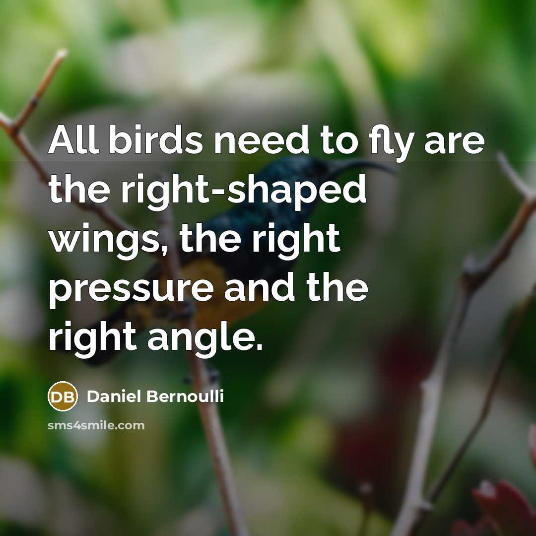 “All birds need to fly are the right-shaped wings, the…” quote by Daniel Bernoulli