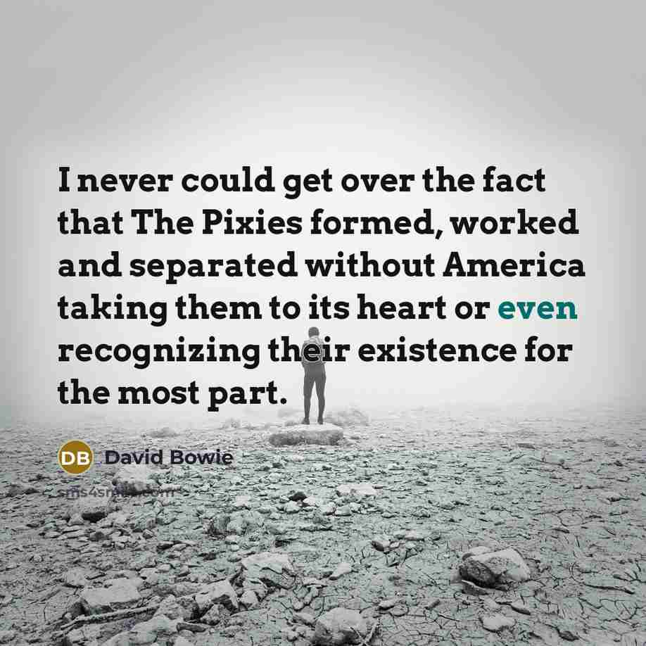 “I never could get over the fact that The Pixies…” quote by David Bowie