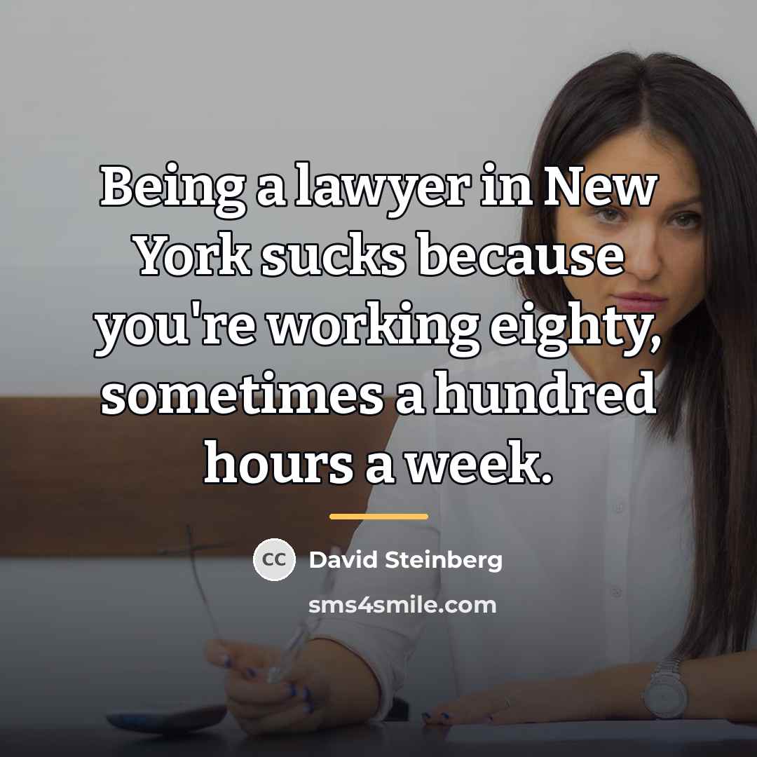 “Being a lawyer in New York sucks because you're working…” quote by David Steinberg