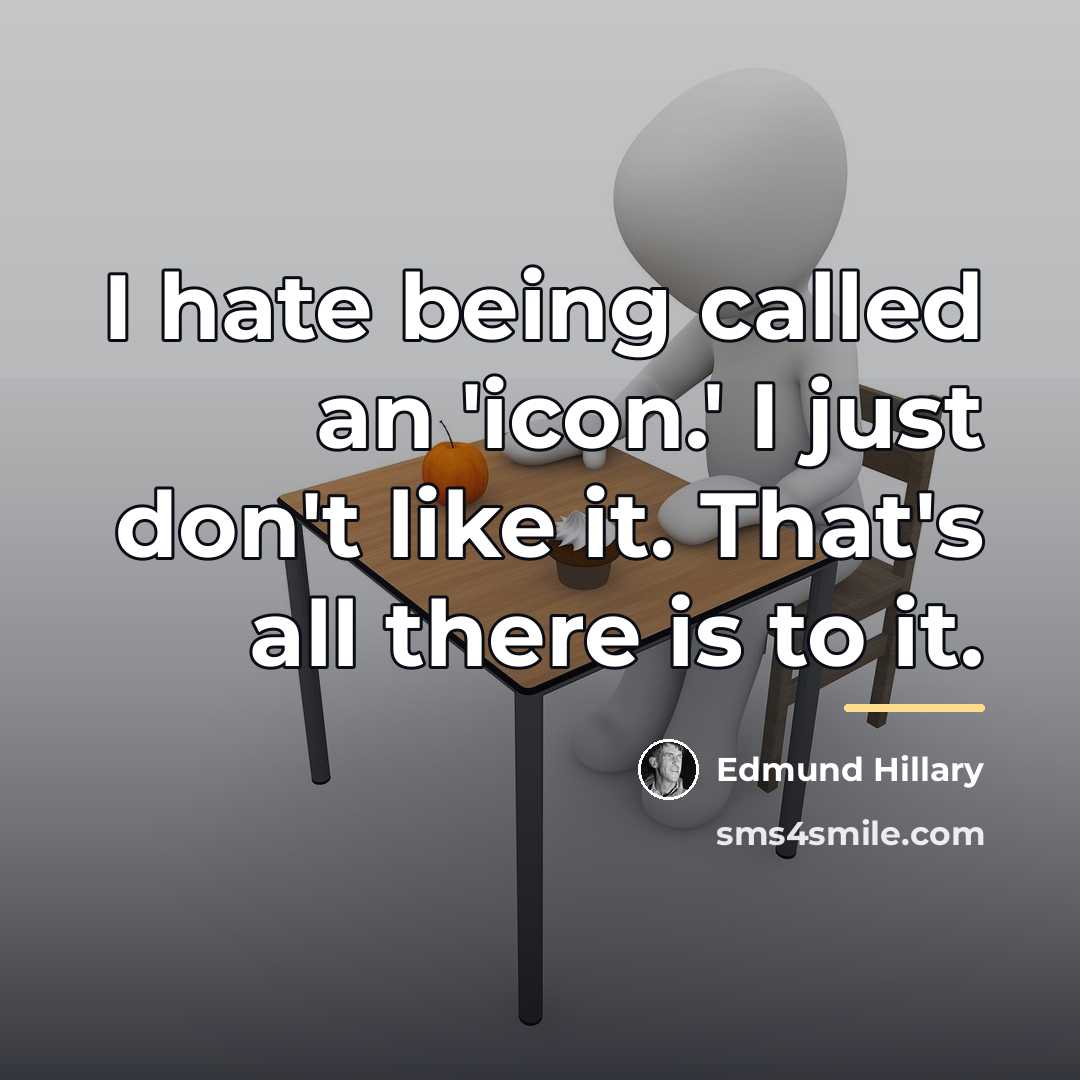 “I hate being called an 'icon.' I just don't like…” quote by Edmund Hillary