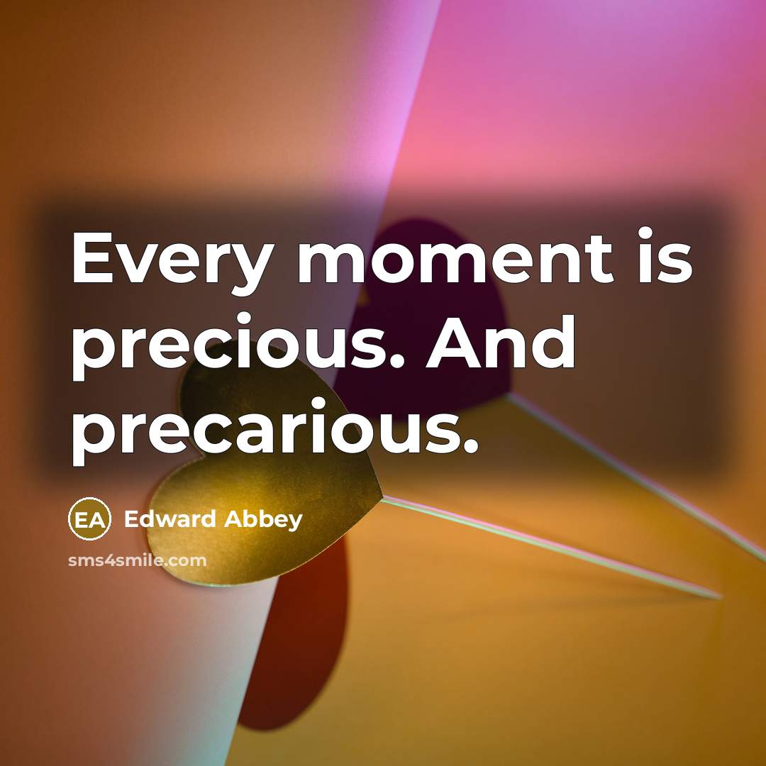 “Every moment is precious. And precarious.…” quote by Edward Abbey