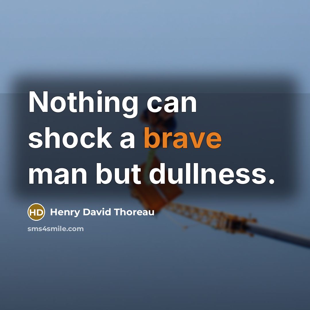 “Nothing can shock a brave man but dullness.…” quote by Henry David Thoreau
