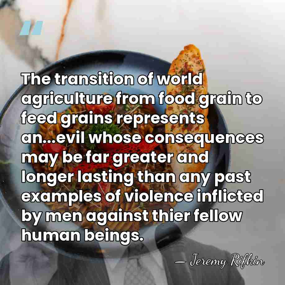 The transition of world agriculture from food grain to feed grains represents&hellip; - Jeremy Rifkin