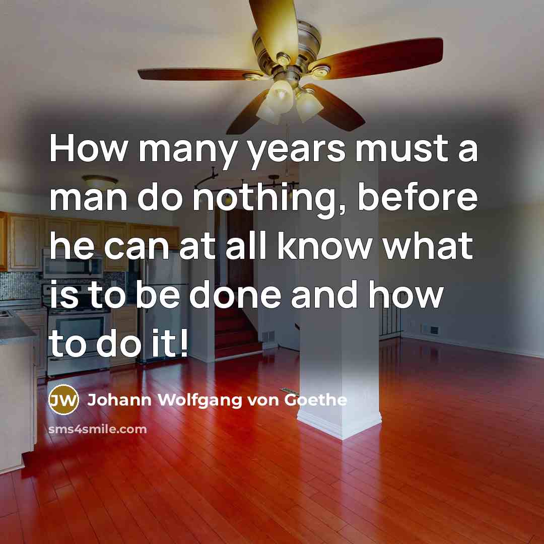 “How many years must a man do nothing, before he…” quote by Johann Wolfgang von Goethe