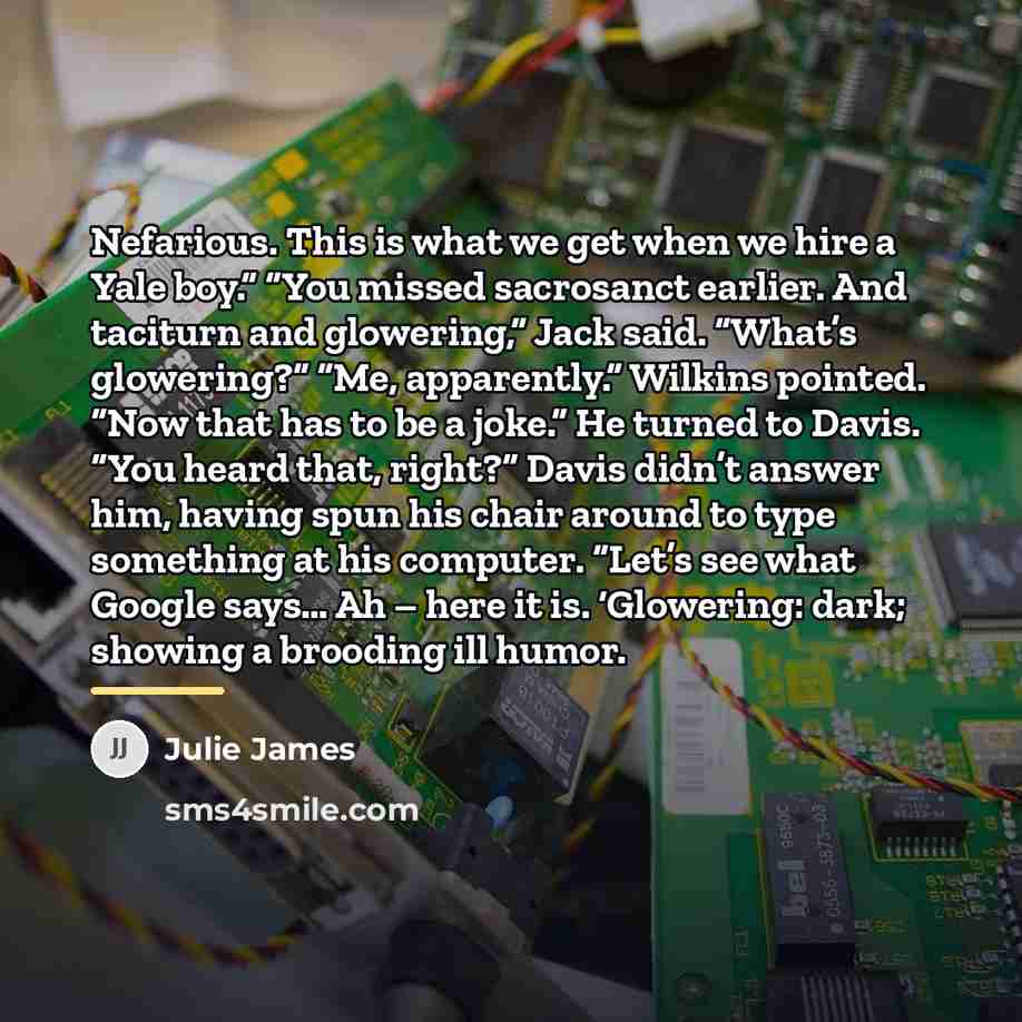 “Nefarious. This is what we get when we hire a…” quote by Julie James