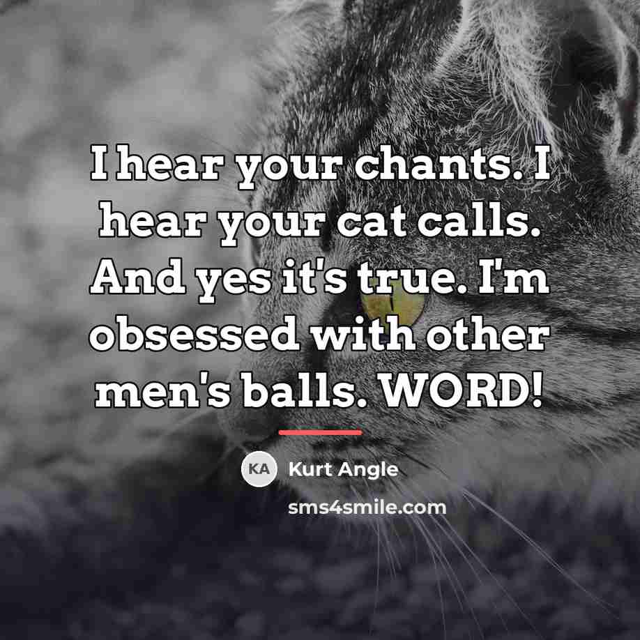 “I hear your chants. I hear your cat calls. And…” quote by Kurt Angle