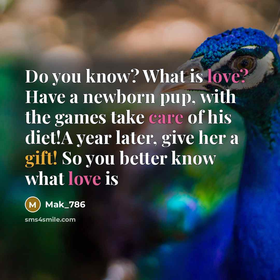 “Do you know? What is love? Have a newborn pup, with the games take care of his diet!A year later, give her a gift! So you better know what love is” quote by Mak_786