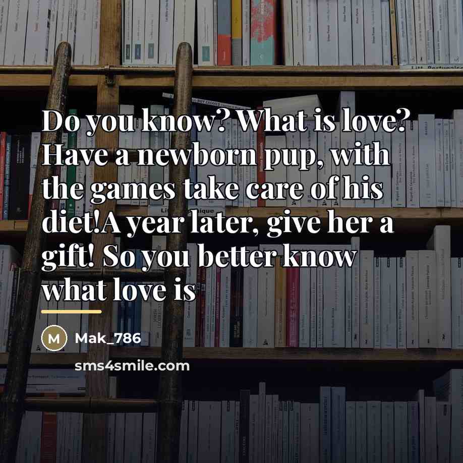 “Do you know? What is love? Have a newborn pup,…” quote by Mak_786