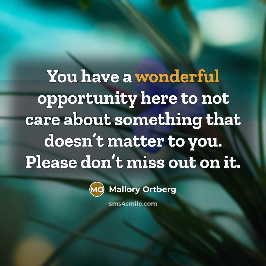 “You have a wonderful opportunity here to not care about…” quote by Mallory Ortberg