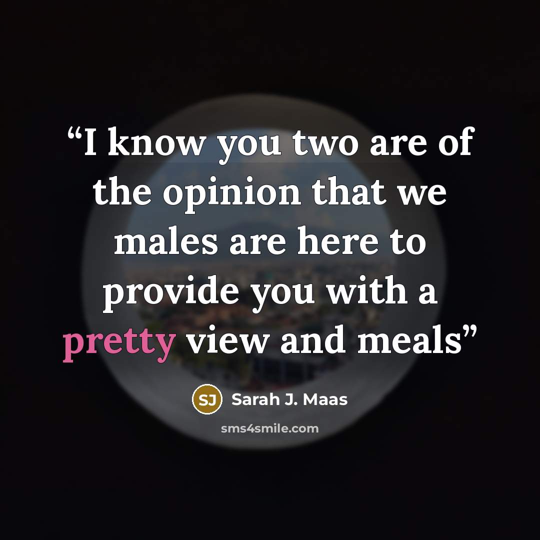 “I know you two are of the opinion that we males are here to provide you with a pretty view and meals” quote by Sarah J. Maas