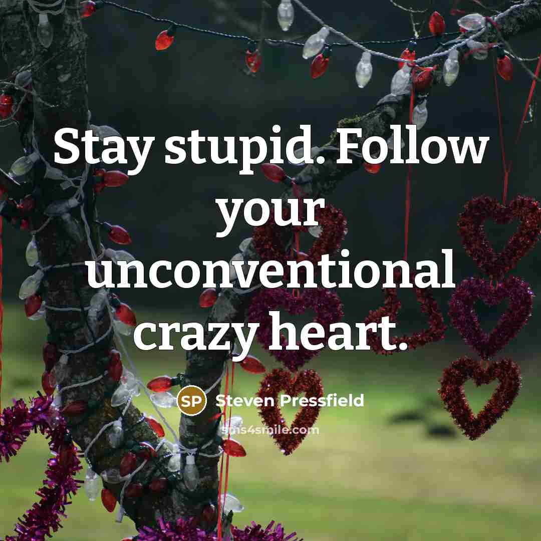 “Stay stupid. Follow your unconventional crazy heart.…” quote by Steven Pressfield