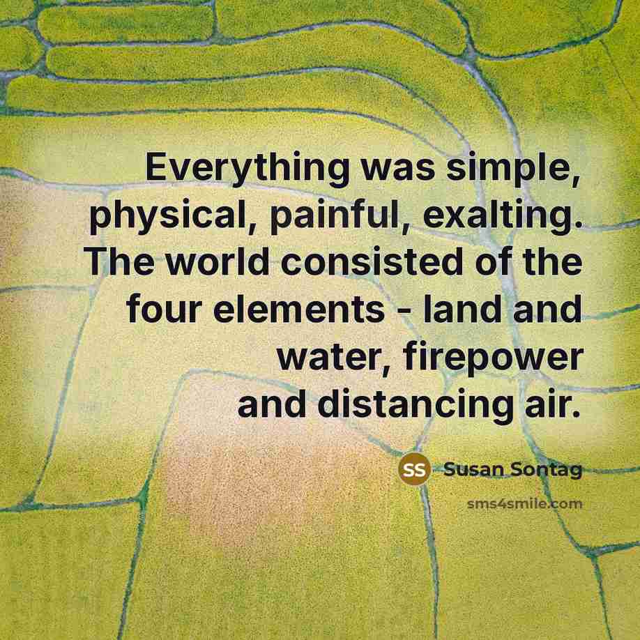 “Everything was simple, physical, painful, exalting. The world consisted of…” quote by Susan Sontag