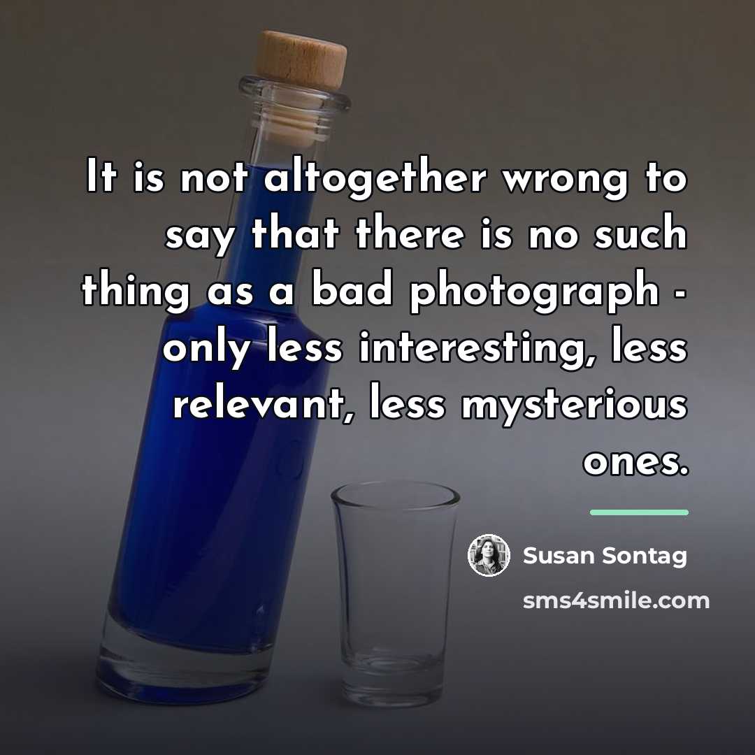 “It is not altogether wrong to say that there is…” quote by Susan Sontag