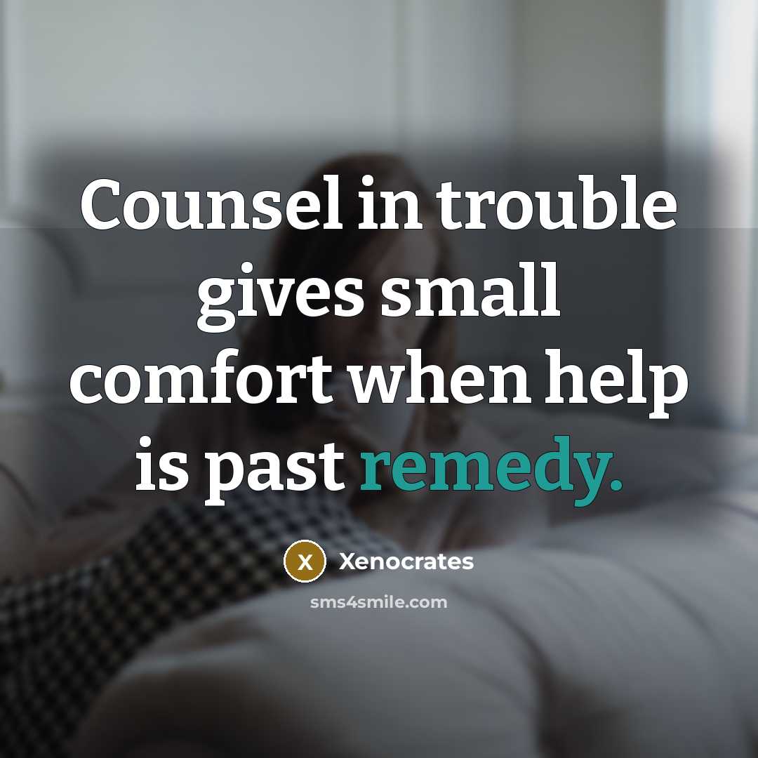 “Counsel in trouble gives small comfort when help is past…” quote by Xenocrates