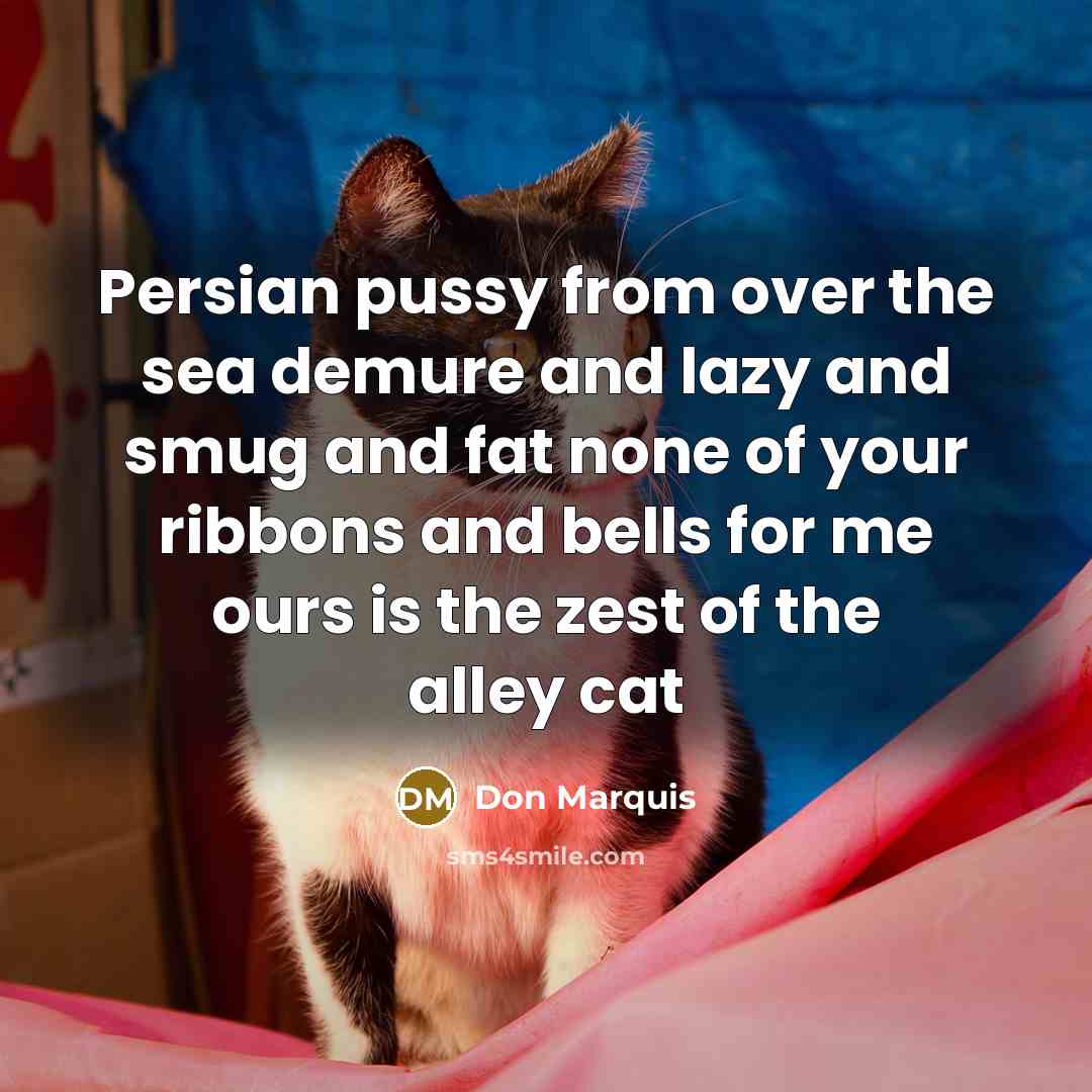 “Persian pussy from over the sea demure and lazy and…” quote by Don Marquis
