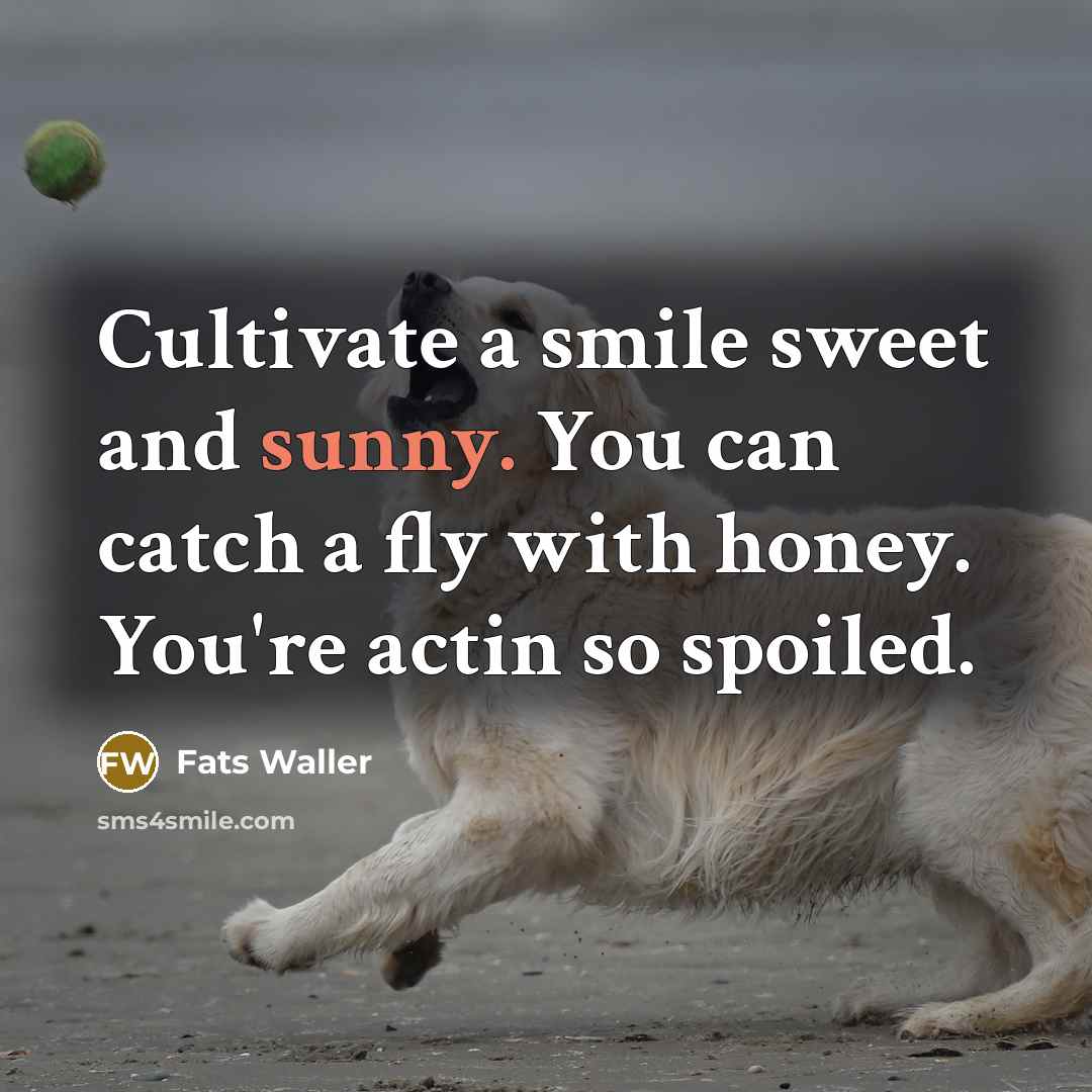“Cultivate a smile sweet and sunny. You can catch a…” quote by Fats Waller