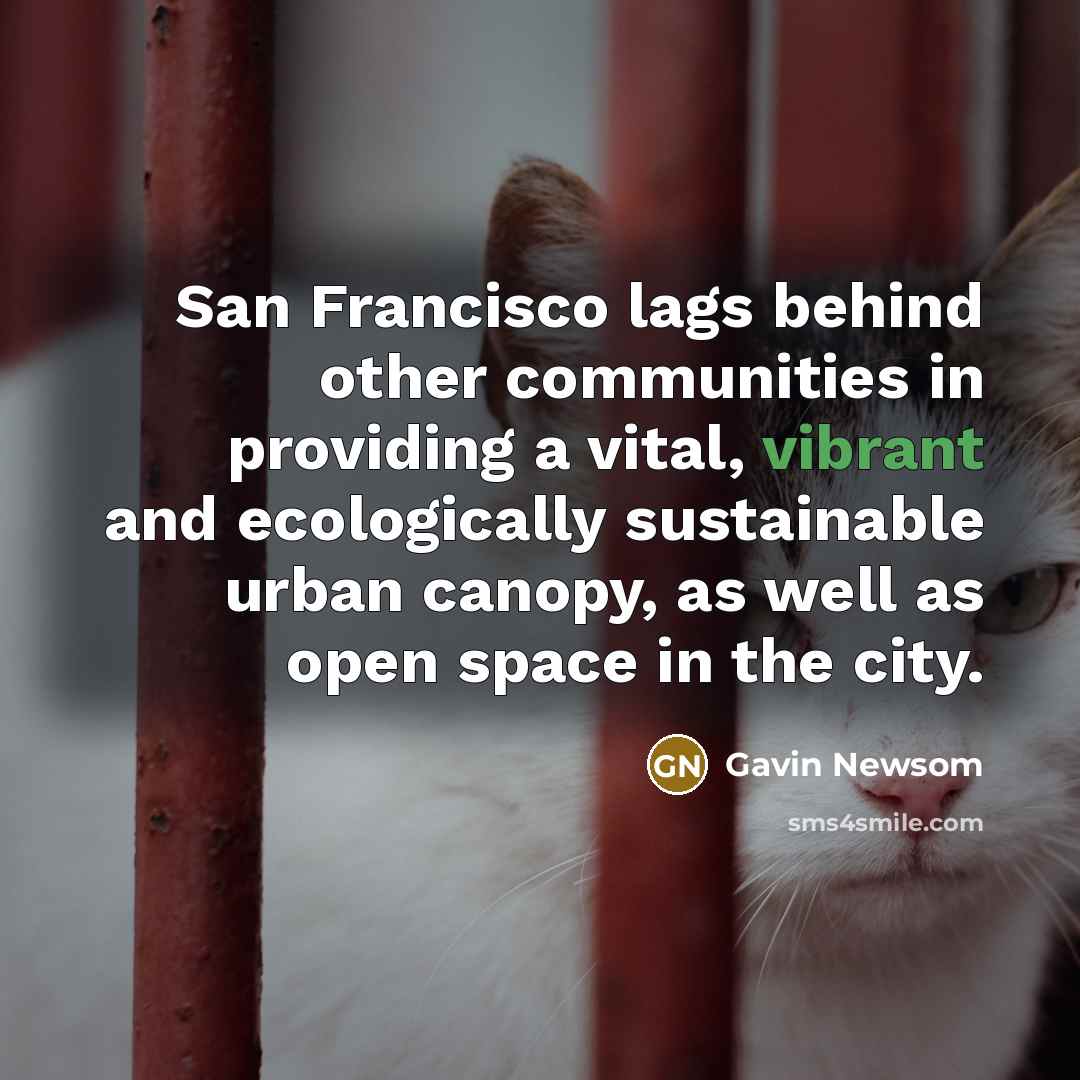 “San Francisco lags behind other communities in providing a vital,…” quote by Gavin Newsom