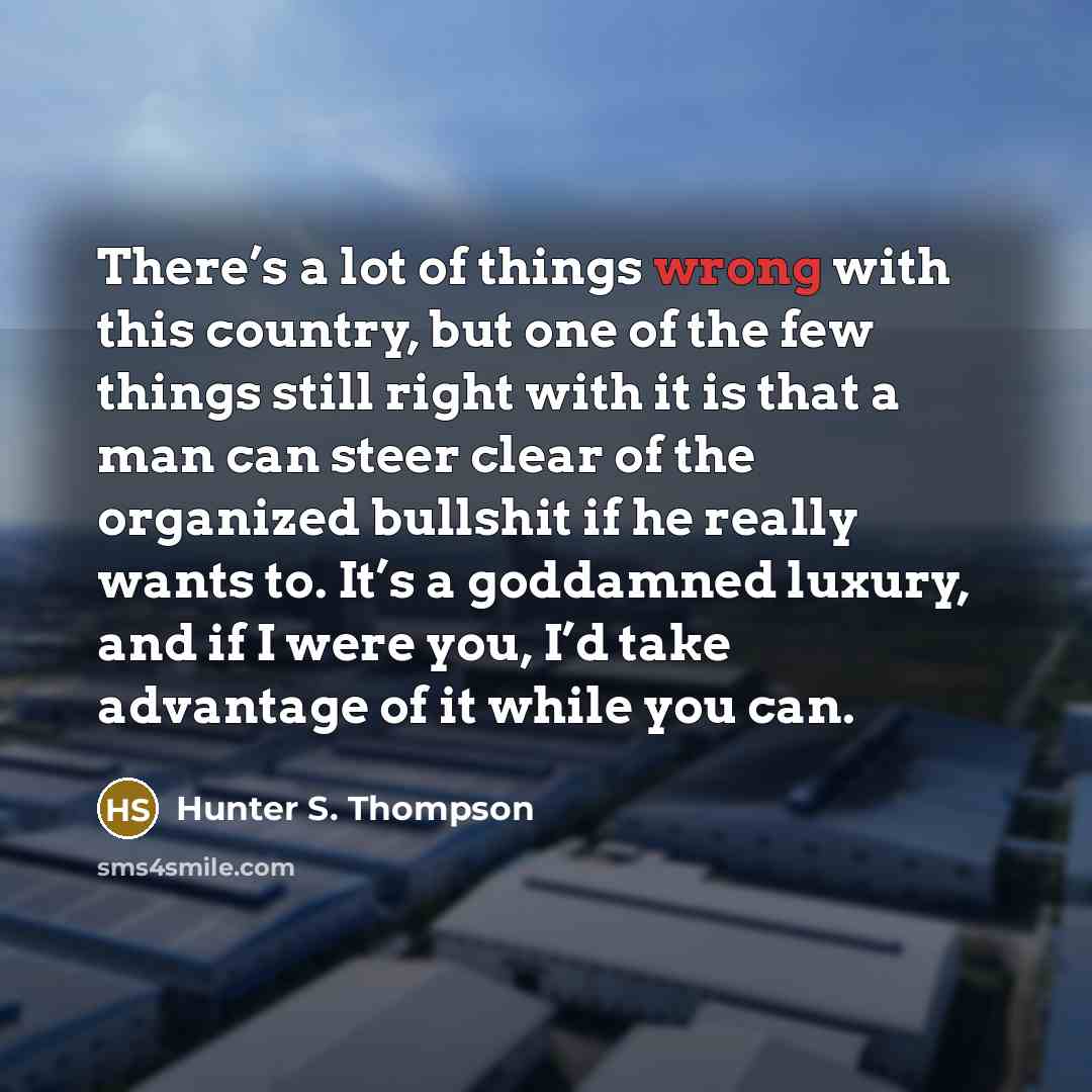 “There’s a lot of things wrong with this country, but…” quote by Hunter S. Thompson