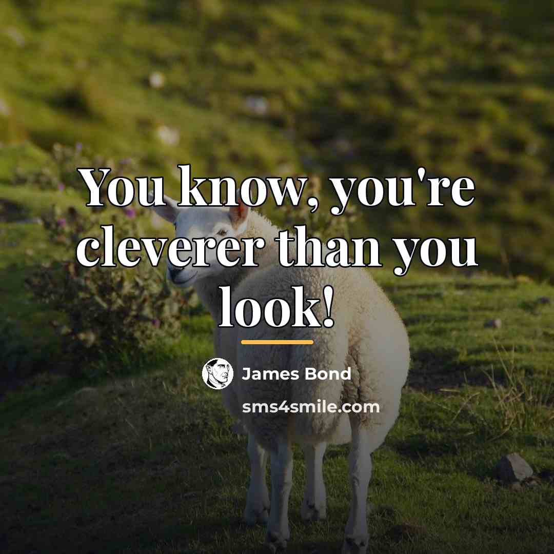 “You know, you're cleverer than you look!…” quote by James Bond