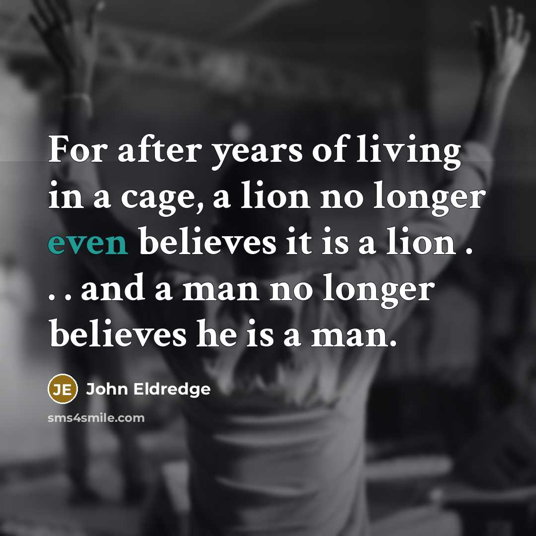 “For after years of living in a cage, a lion…” quote by John Eldredge