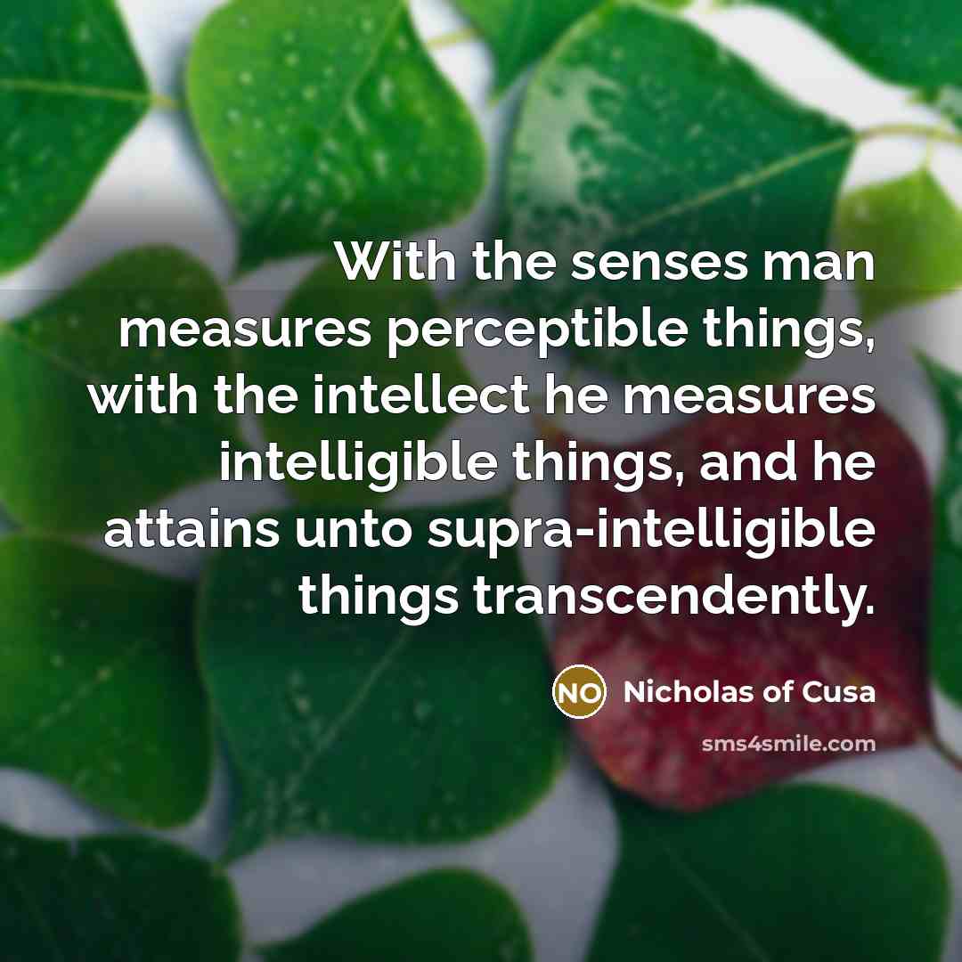 “With the senses man measures perceptible things, with the intellect…” quote by Nicholas of Cusa