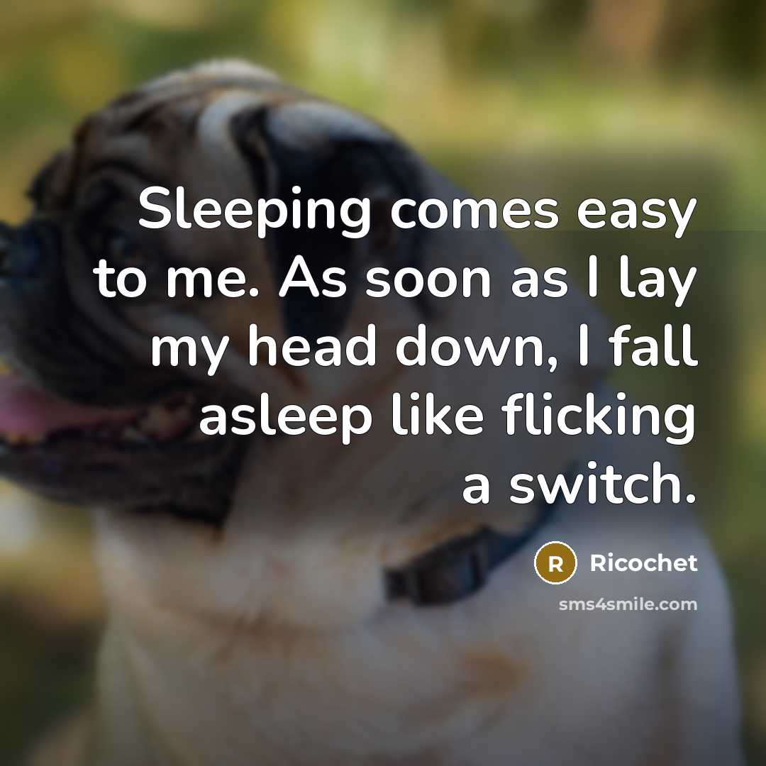 “Sleeping comes easy to me. As soon as I lay…” quote by Ricochet