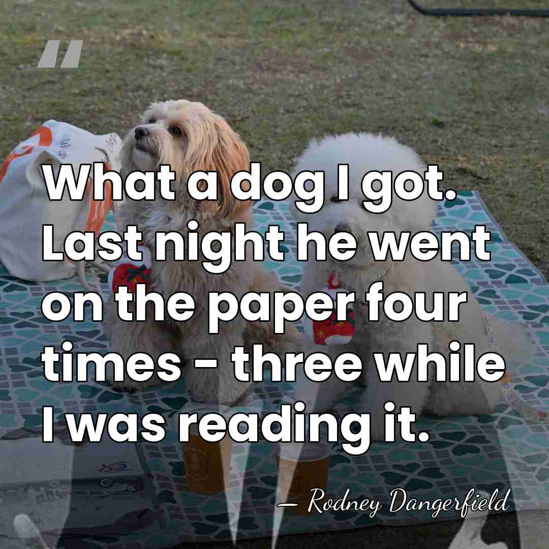 What a dog I got. Last night he went on the paper&hellip; - Rodney Dangerfield