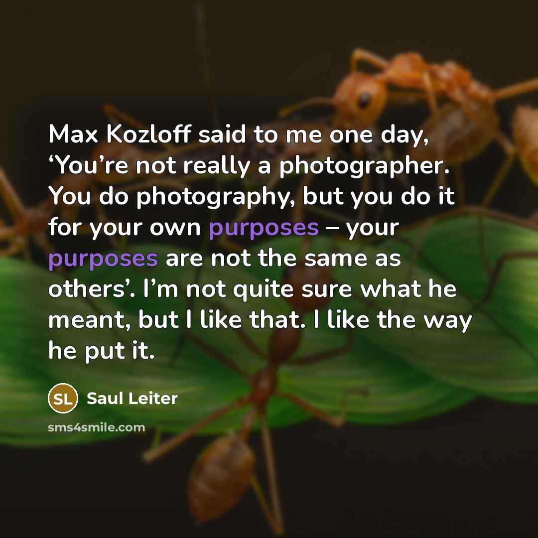 “Max Kozloff said to me one day, ‘You’re not really…” quote by Saul Leiter