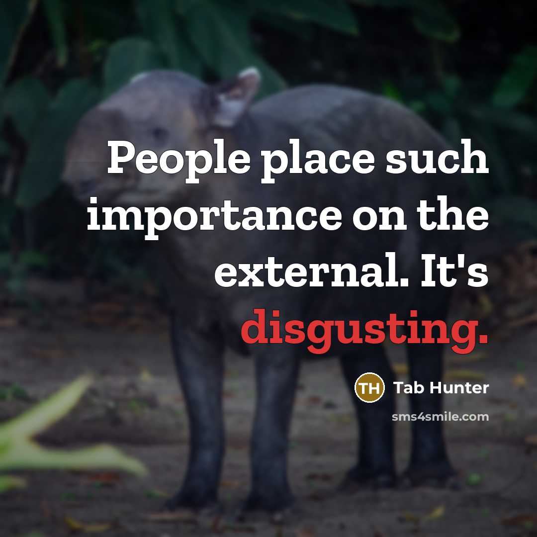“People place such importance on the external. It's disgusting.…” quote by Tab Hunter