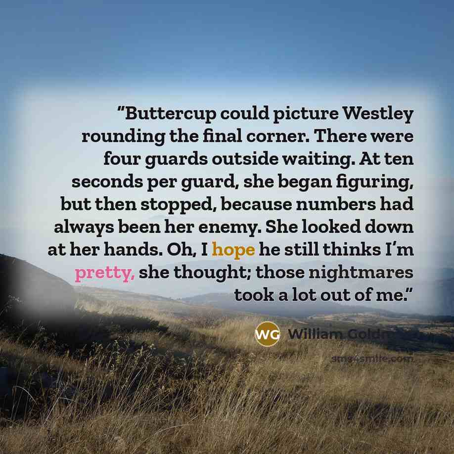 “Buttercup could picture Westley rounding the final corner. There were four guards outside waiting. At ten seconds per guard, she began figuring, but then stopped, because numbers had always been her enemy. She looked down at her hands. Oh, I hope he still thinks I’m pretty, she thought; those…” quote by William Goldman
