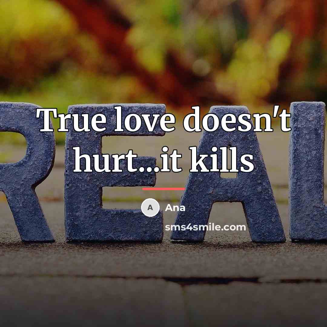 “True love doesn't hurt...it kills…” quote by Ana