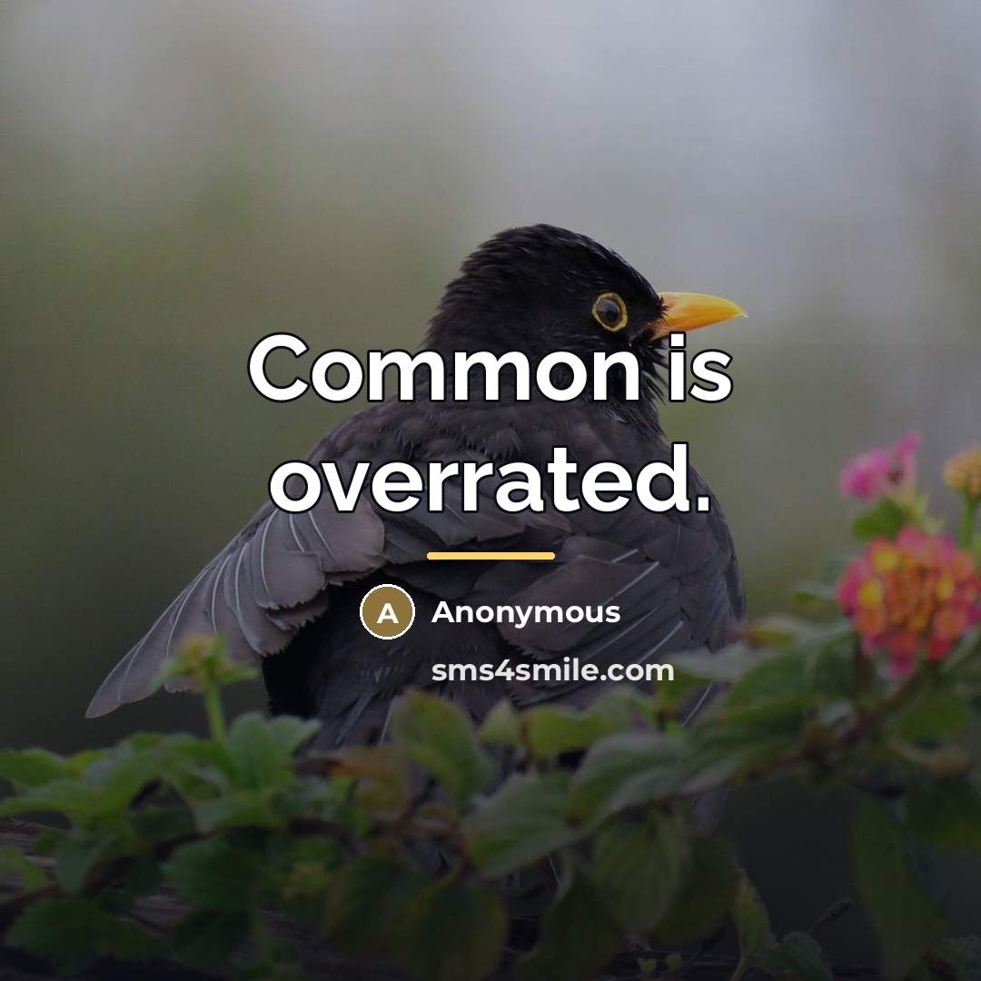 “Common is overrated.…” quote by Anonymous