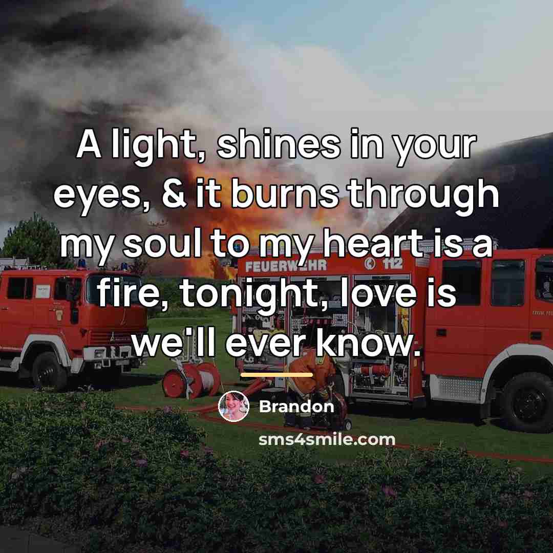 “A light, shines in your eyes, & it burns through…” quote by Brandon