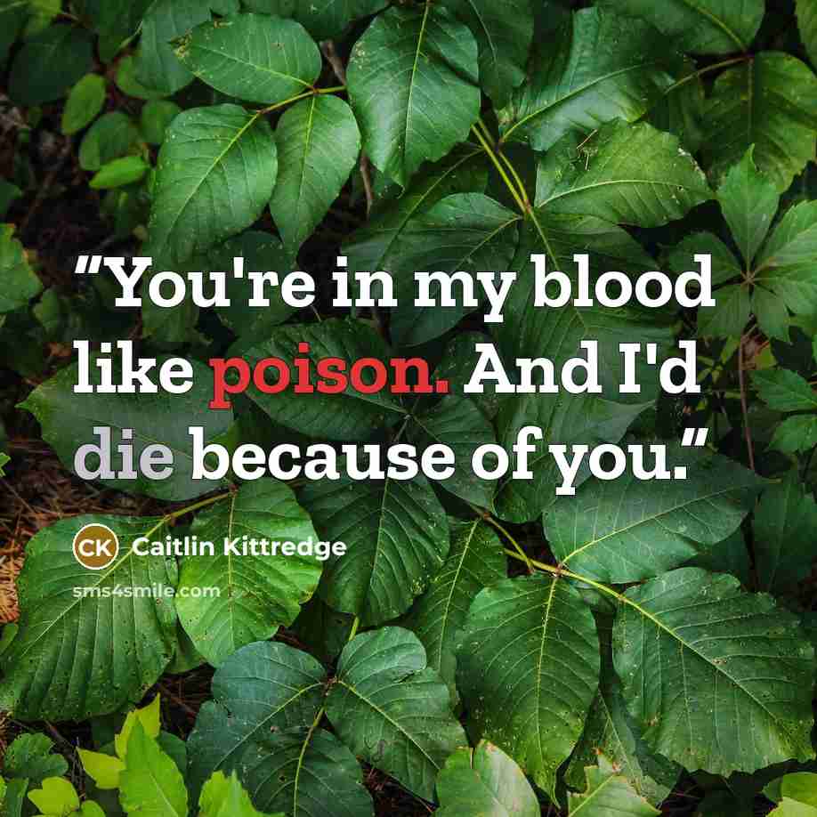 “You're in my blood like poison. And I'd die because of you.” quote by Caitlin Kittredge
