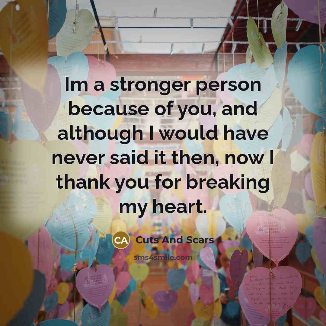 “Im a stronger person because of you, and although I…” quote by Cuts And Scars