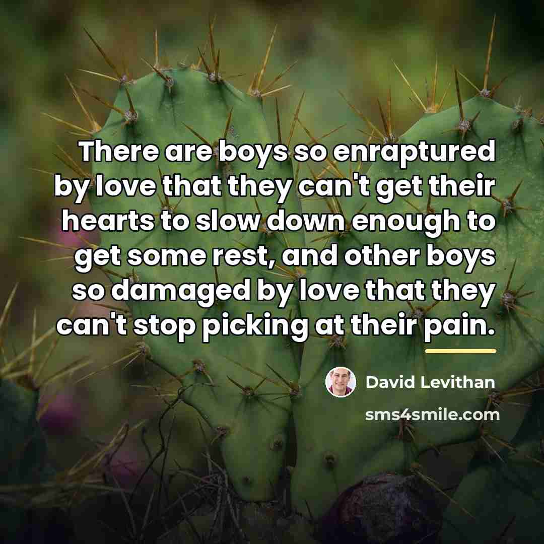 “There are boys so enraptured by love that they can't…” quote by David Levithan