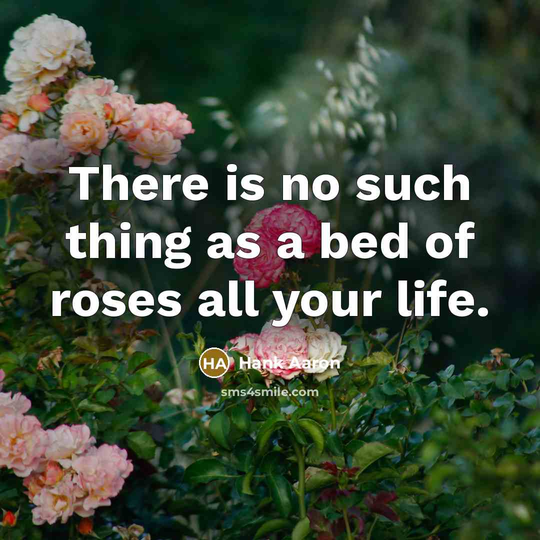 “There is no such thing as a bed of roses…” quote by Hank Aaron