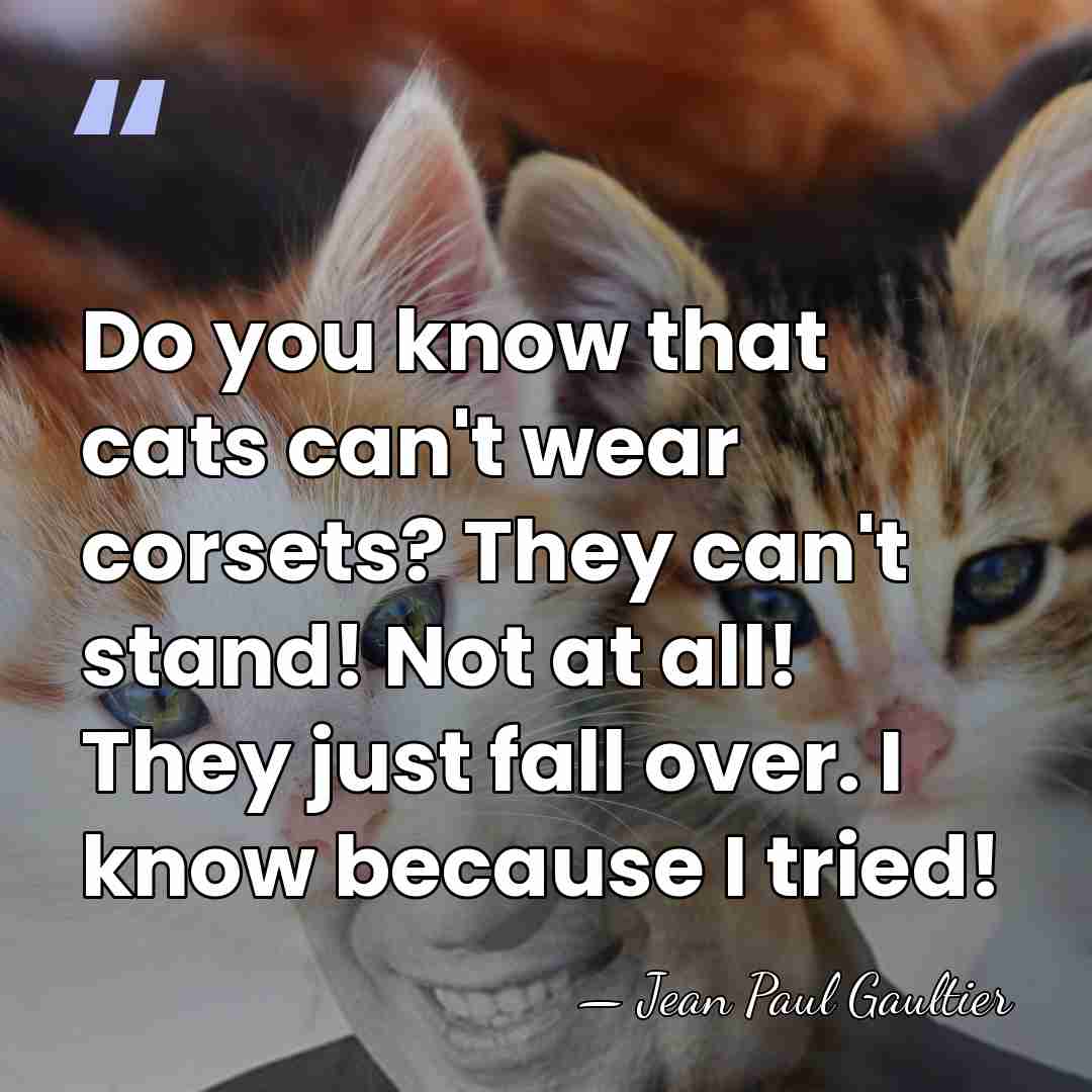 Do you know that cats can't wear corsets? They can't stand! Not&hellip; - Jean Paul Gaultier